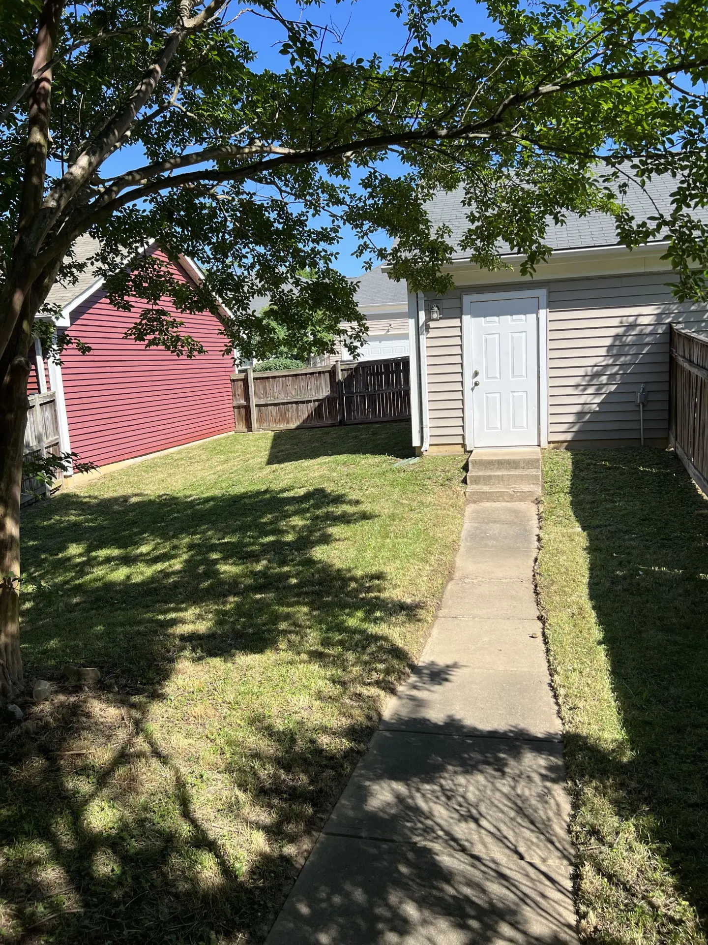 Shaded backyard mowed cleanly along a concrete walkway